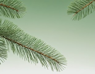 Obraz premium Green pine branches with delicate needles against a soft gradient background.