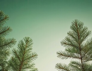 Obraz premium Close-up of vibrant green pine tree branches against a soft gradient background.