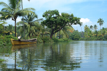 Obraz premium Backwaters in Kerala is a network of canals both manmade and natural. A house boat transports tourists around the backwaters. Top tourism attraction in Kerala, India 