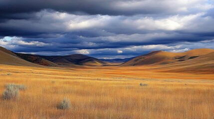 Fototapeta premium Vast Golden Grassland Valley Under Dramatic Cloudy Sky Nature Landscape