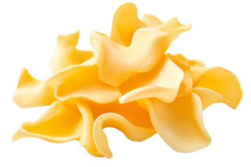 Colorful yellow flower petals png background transparent for creative designs digital art and floral decorations