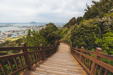 Fototapeta premium Jeju-do, Seongsan Ilchulbong landscape, volcanic tuff cone, Sunrise peak, Jeju Island, South Korea, Seongsan-ri, Seogwipo, Jeju Province landscape view in a sunny day, with sea, cliffs hiking trail