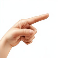 Hand Pointing Gesture Designed for 3d Vector Touch Screen Interaction