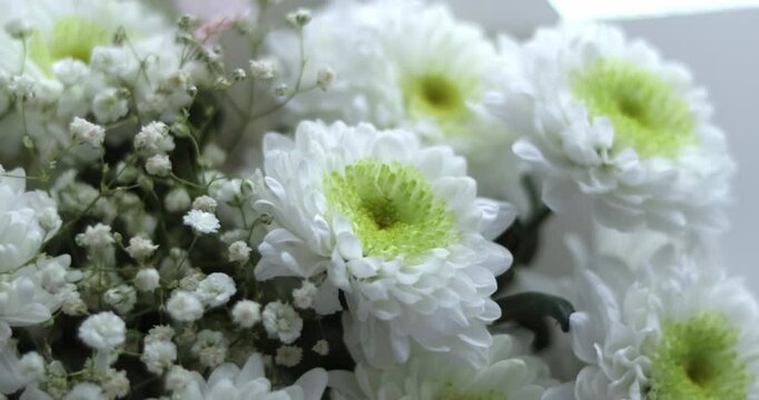 Close-up of beautiful bouquet of white Chrysanthemum flowers with white gypsophila