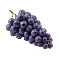 Fototapeta premium PNG Fresh Bunch of Dark Purple Grapes with Stem