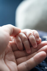 Hand and hand(手と手)