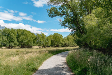 Glenorchy lagoon walkway, The boardwalk traverses wetlands north of Glenorchy, New Zealand's South Island
