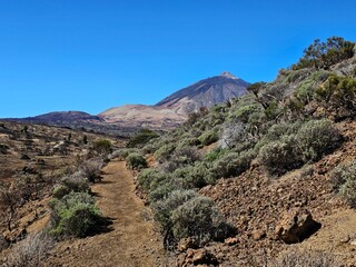 Nationalpark El Teide Teneriffa