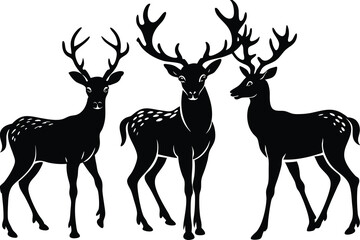 silhouette of deer