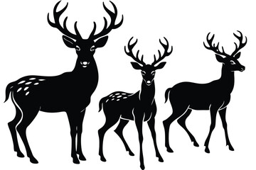 Fototapeta premium silhouette of deer