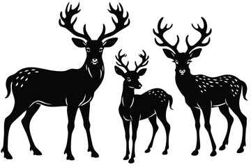 silhouette of deer