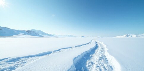A vast and endless expanse of white snow stretching across a frozen terrain with a cold blue sky, whiteout conditions, winter landscape