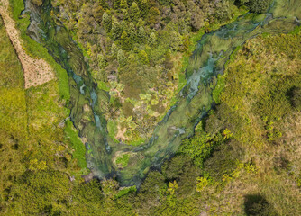 Drone view at Blue Spring river (Te Waihou Walkway) in New Zealand
