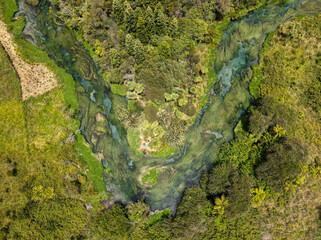 Drone view at Blue Spring river (Te Waihou Walkway) in New Zealand