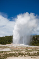 A geyser in Yellowsone, Wyoming.