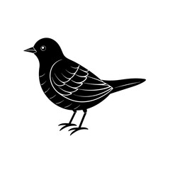 vector illustration of a bird