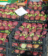 green artichokes with the price for sale at the fruit and vegetable market stall
