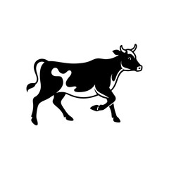 black and white cow