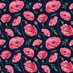Red poppies on adark background. Seamless pattern of wildflowers. Hand-painted watercolor botanical illustration. Bouquet of flowers for decorating invitations, booklets, postcards, fabric