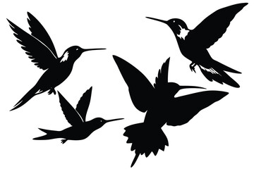 Obraz premium hummingbird silhouette isolated on white