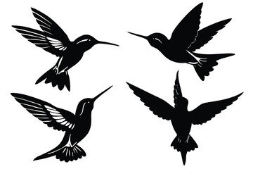 Obraz premium hummingbird silhouette isolated on white