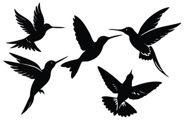hummingbird silhouette isolated on white