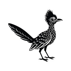 Roadrunner silhouette isolated on white background