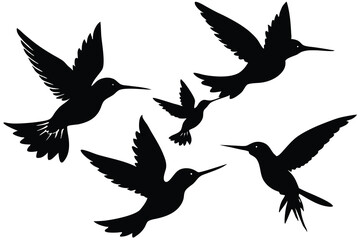 Obraz premium hummingbird silhouette isolated on white