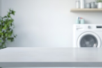 Clean, bright room featuring a countertop, washing machine, potted plant, and shelf with jars
