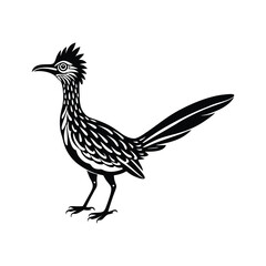 Roadrunner silhouette isolated on white background