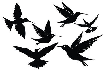 Obraz premium hummingbird in flight vector illustration