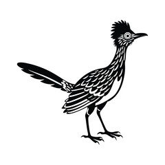Roadrunner silhouette isolated on white background