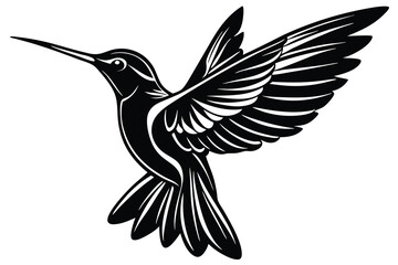 Obraz premium vector illustration of a hummingbird