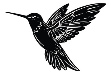 Obraz premium hummingbird vector illustration