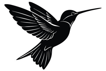 Obraz premium hummingbird vector illustration