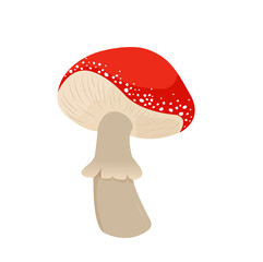 red poison mushroom amanita, toadstool - vector illustration