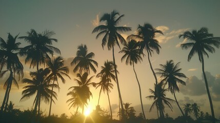 Silhouetted palm trees against a vibrant sunset, casting shadows over a serene tropical landscape