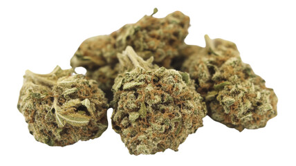 Marijuana buds forming a pile on transparent background