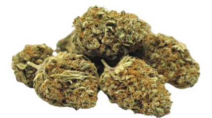 Cannabis buds forming a pile on transparent background