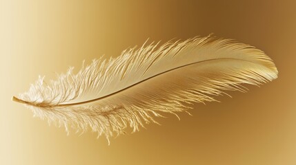 Fototapeta premium A delicate golden feather isolated on a shimmering gold background.