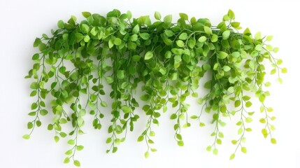 Obraz premium Green Leafy Garland Decoration Against White Wall for Home Decor