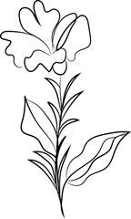 black and white flower