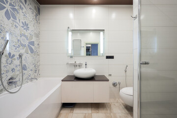 Bathtub and shower cabin in the bathroom