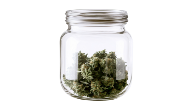 Cannabis buds preserved in glass jar with transparent background