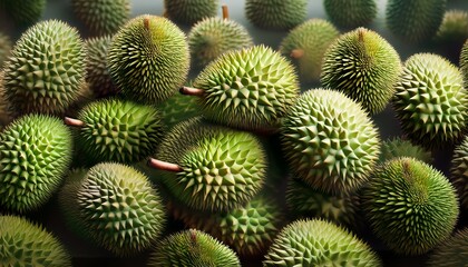 Fototapeta premium a bunch of green durians with a lot of spikes