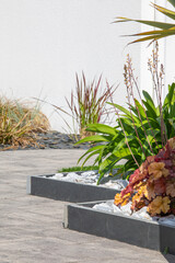 Charmant petit jardin paysag&eacute; avec ses fleurs et ses plantes vertes au printemps.