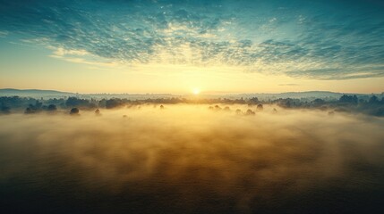 Obraz premium Golden sunrise illuminating a thick layer of morning mist over a quiet forest valley.