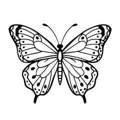 Black and White Butterfly Illustration for Coloring and Design Projects