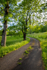 Route de campagne au milieu des arbres et des champs au printemps.