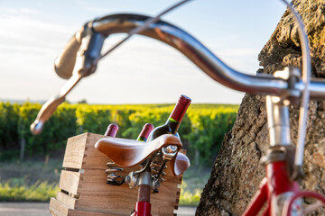 Vieux vélo rouge au milieu des vignes et sa caisse de bouteille de vin rouge après les vendanges d'automne.